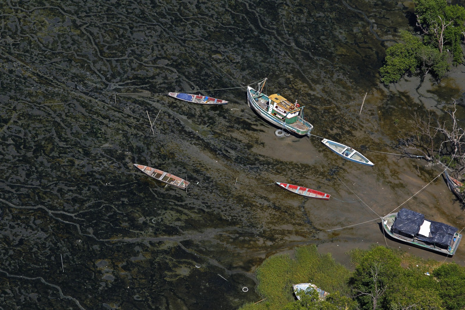 Barcos em área de mangue e lama